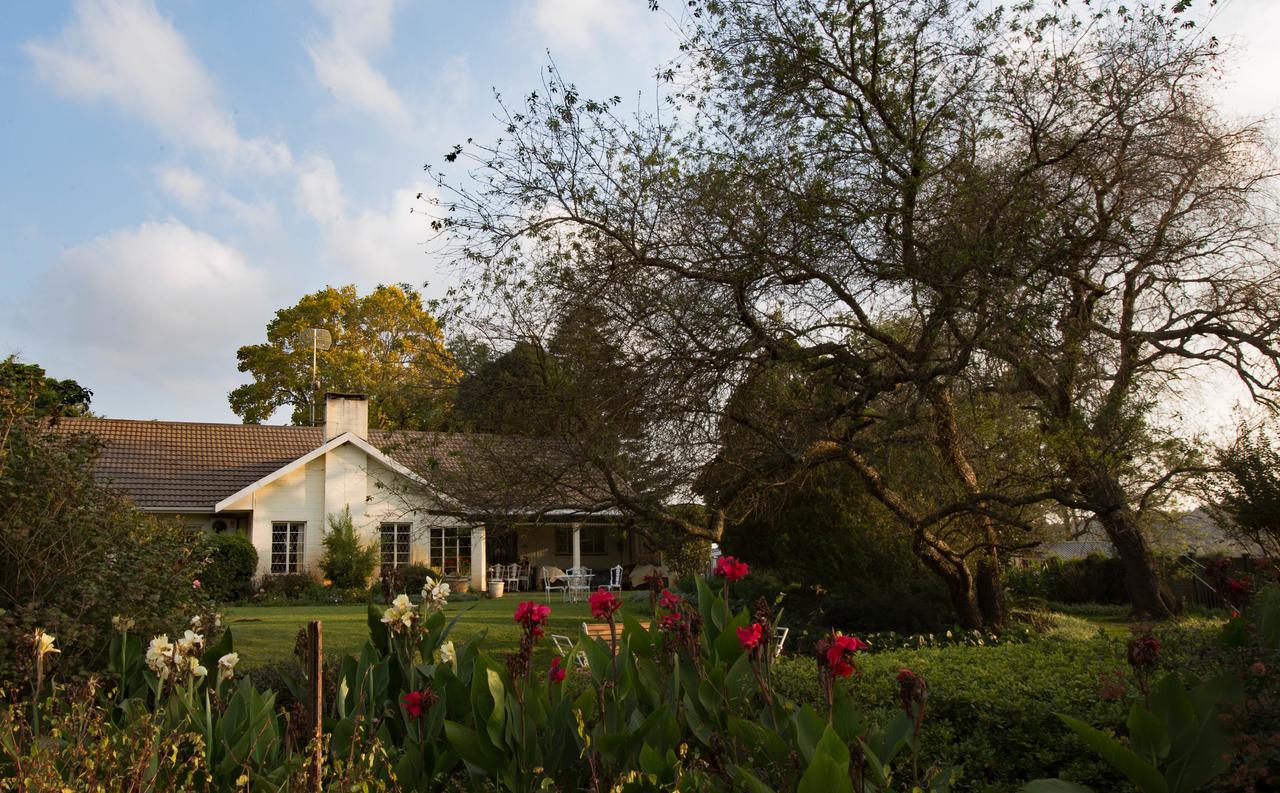Amber Avenue Guesthouse Howick Buitenkant foto