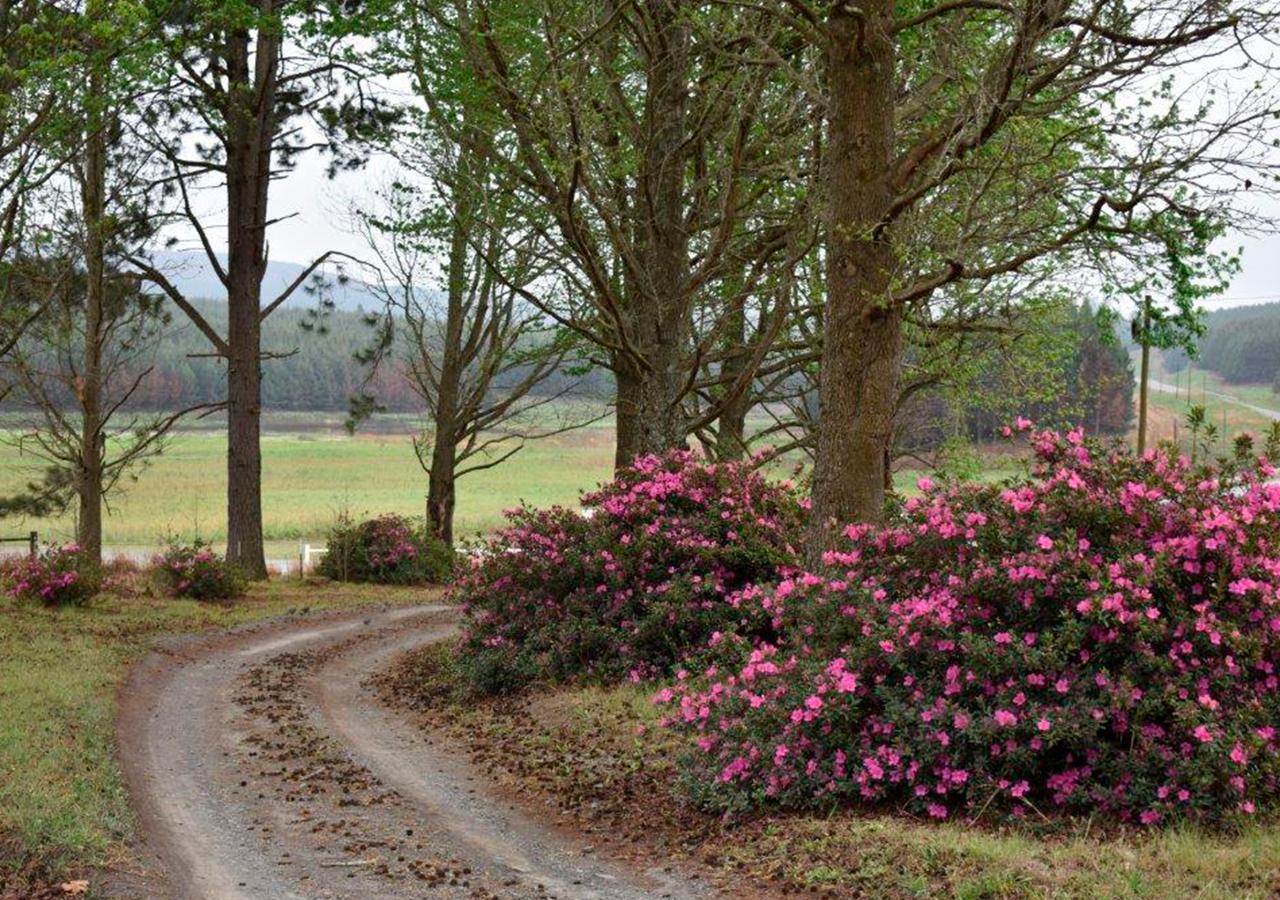 Amber Avenue Guesthouse Howick Buitenkant foto
