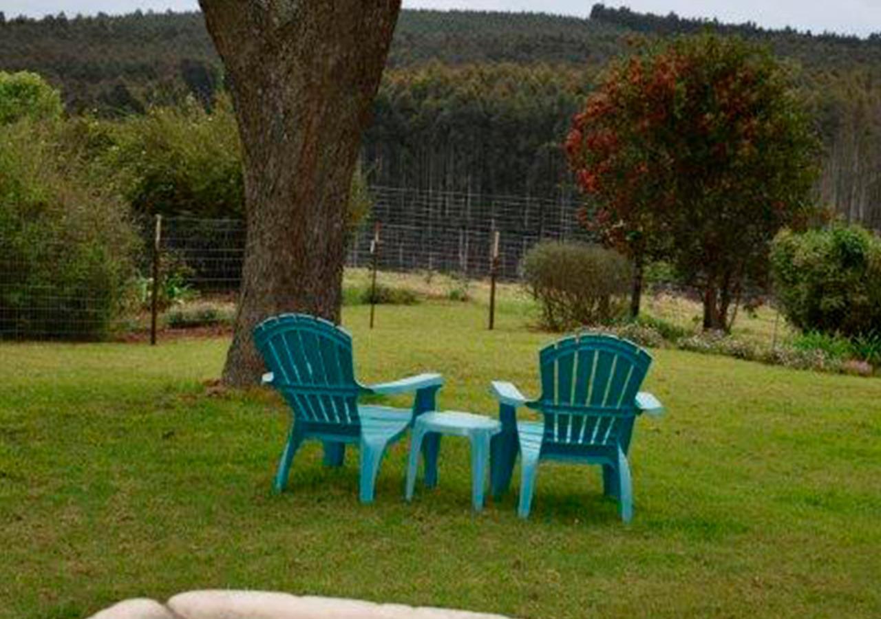 Amber Avenue Guesthouse Howick Buitenkant foto