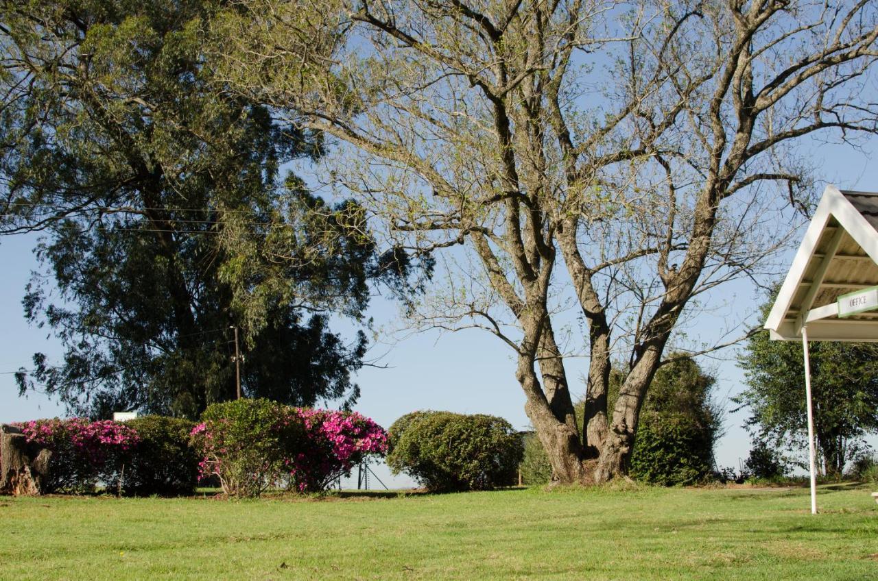 Amber Avenue Guesthouse Howick Buitenkant foto